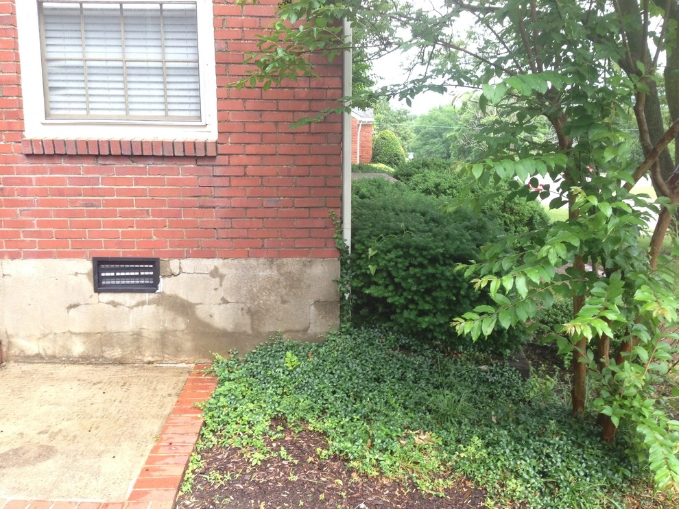 Midtown Nashville Summer Curb Appeal by My Landscape Guide - Photo 6