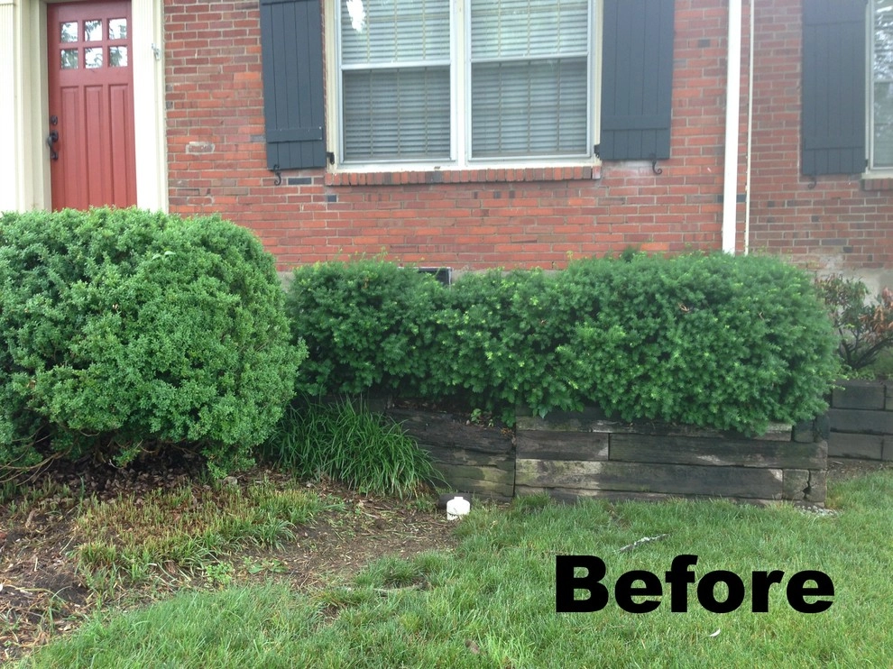 Midtown Nashville Summer Curb Appeal by My Landscape Guide - Photo 5