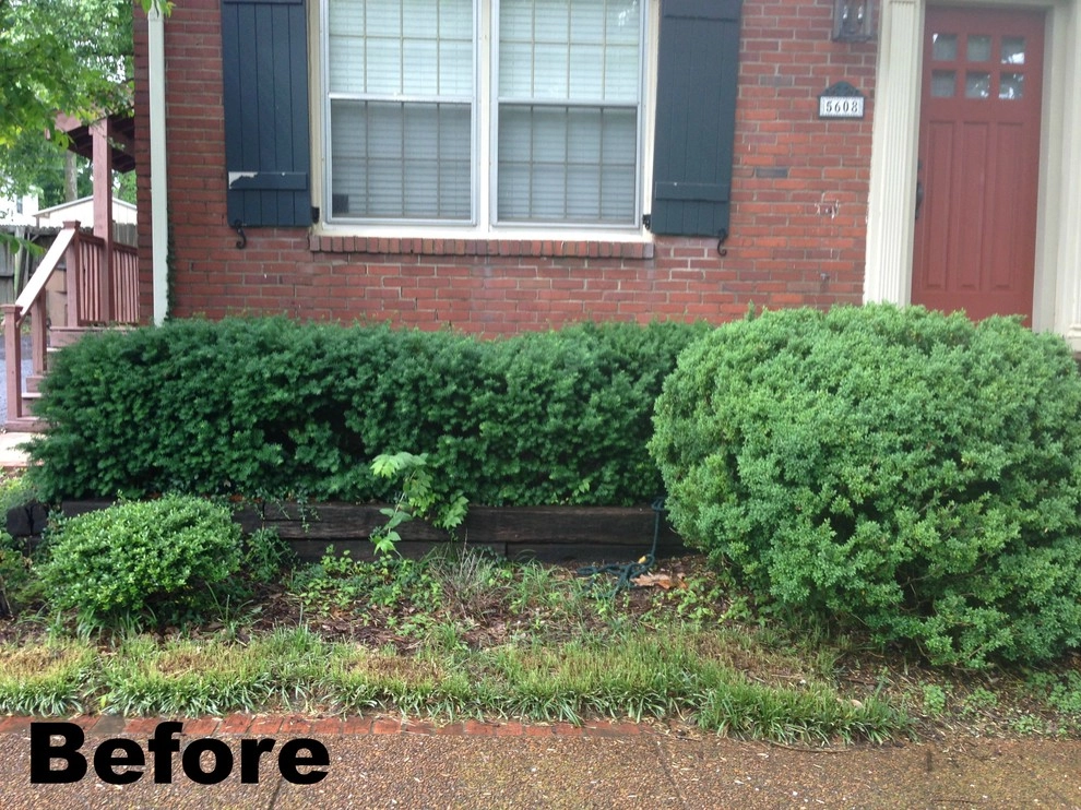 Midtown Nashville Summer Curb Appeal by My Landscape Guide - Photo 2