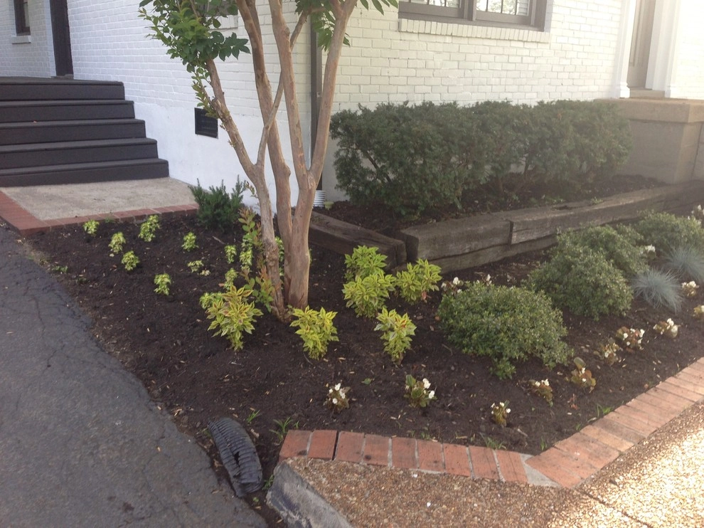Midtown Nashville Summer Curb Appeal by My Landscape Guide - Photo 4