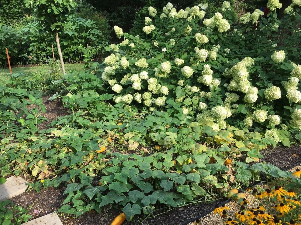 Beautiful Custom Landscape by My Landscape Guide - Photo 9