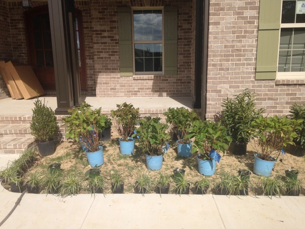 My Landscape Guide - Photo 6