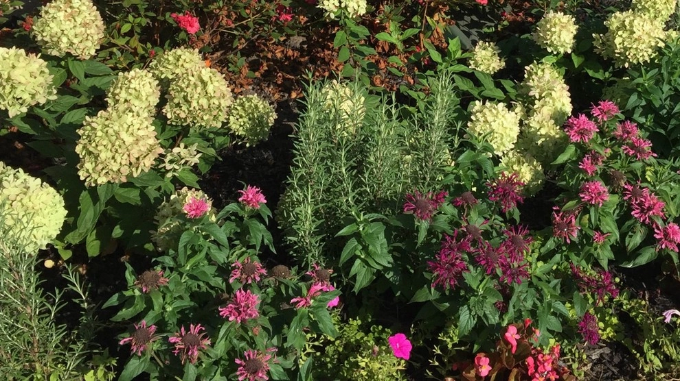 2016 Landscaping Projects by My Landscape Guide - Photo 2