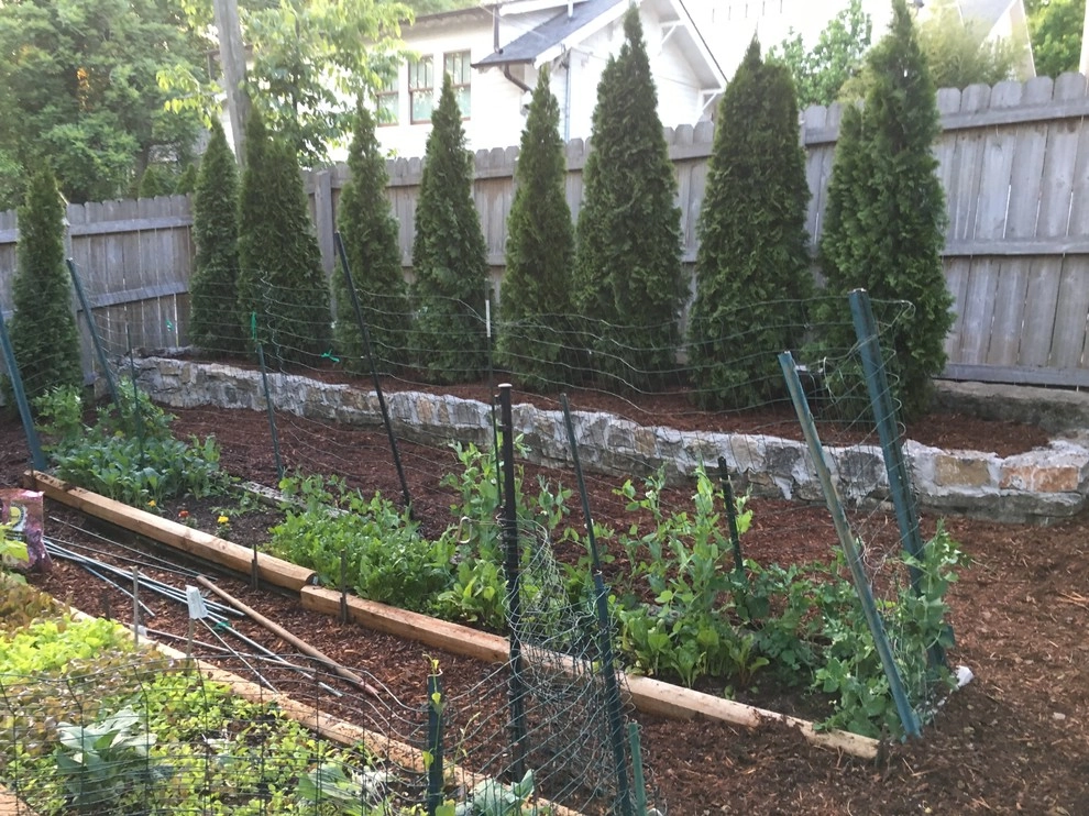 2016 Landscaping Projects by My Landscape Guide - Photo 3