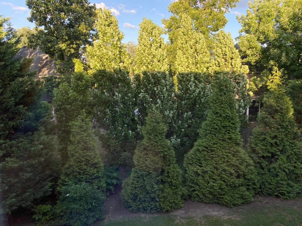 My Home! by My Landscape Guide - Photo 7