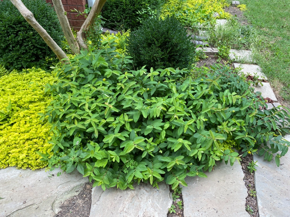 My Home! by My Landscape Guide - Photo 11