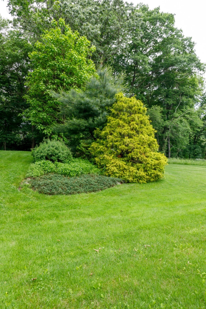 Mature Garden by Natalie DeNormandie - Photo 2