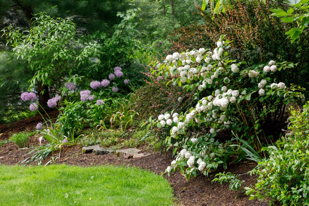 Mature Garden by Natalie DeNormandie - Photo 12