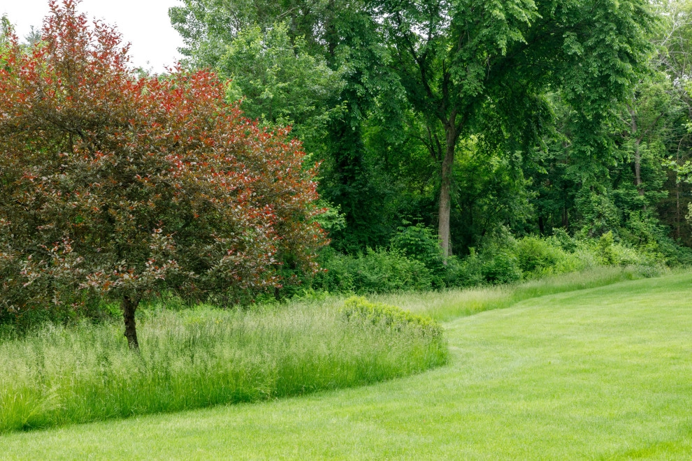 Mature Garden by Natalie DeNormandie - Photo 23