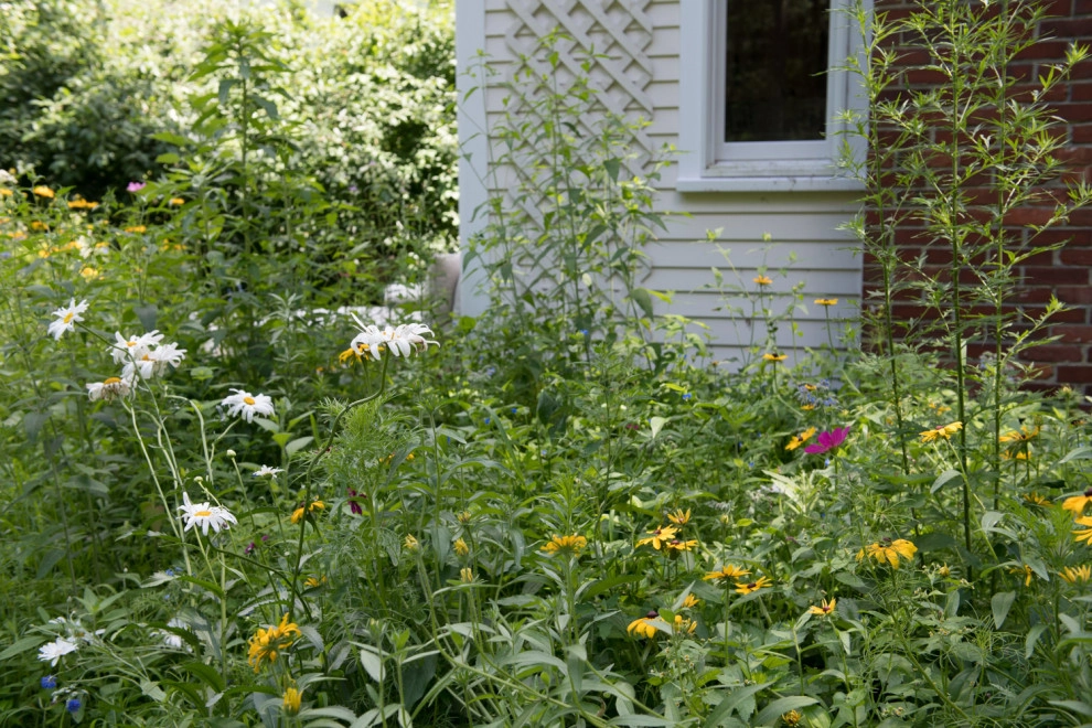 Grasshopper Lane by Natalie DeNormandie - Photo 6