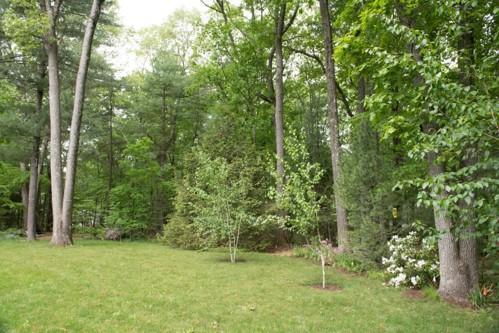 Grasshopper Lane by Natalie DeNormandie - Photo 10