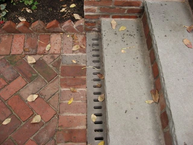 Beacon Hill Garden Level by Natalie DeNormandie - Photo 9