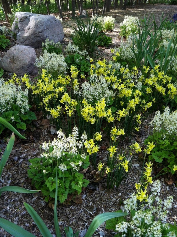 Newton Lower Falls Woodland Garden by Natalie DeNormandie - Photo 12