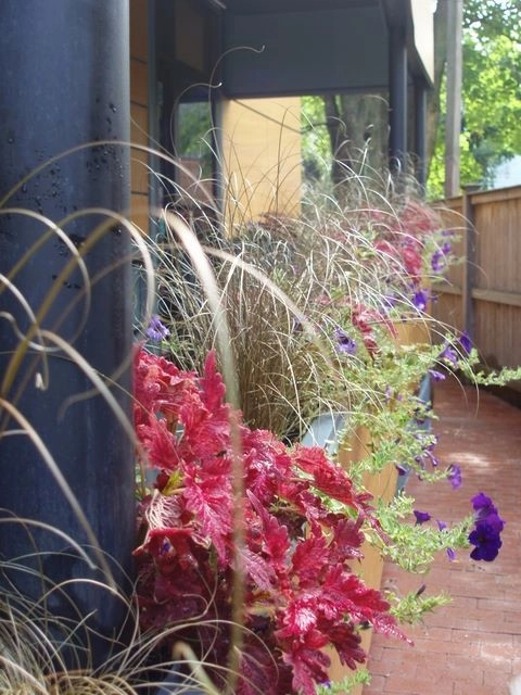 Oleana Restaurant Outdoor Patio by Natalie DeNormandie - Photo 8
