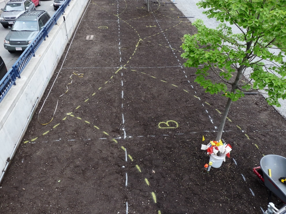 Rose Kennedy Greenway Installation Garden by Natalie DeNormandie - Photo 4
