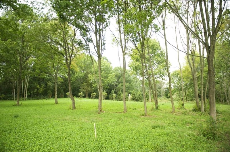 Edible Estate by Natalie DeNormandie - Photo 35