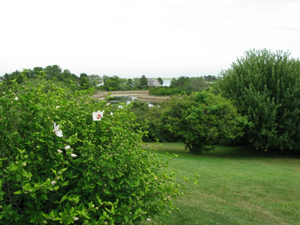 Snow Point by Natalie DeNormandie - Photo 37