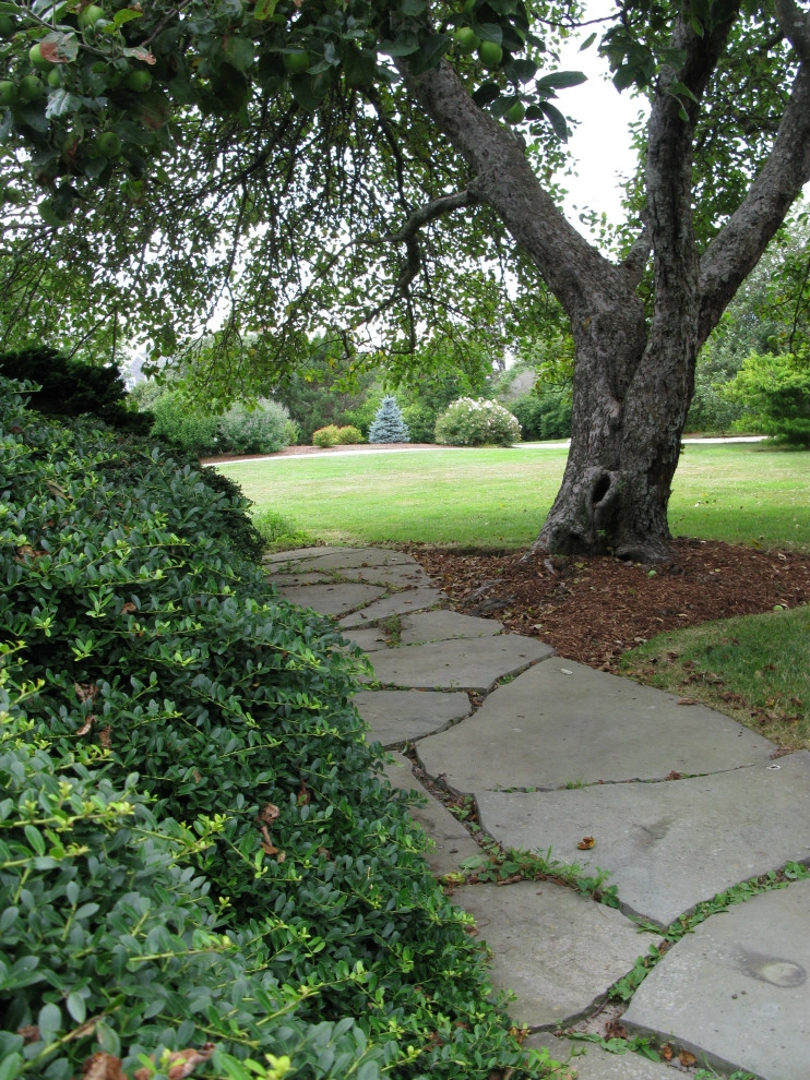 Snow Point by Natalie DeNormandie - Photo 39