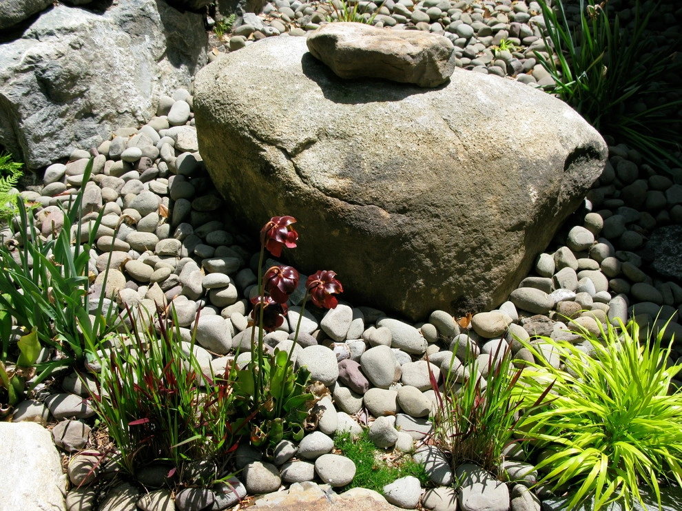Children's Edible Garden by Natalie DeNormandie - Photo 8