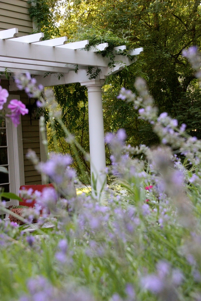 Children's Edible Garden by Natalie DeNormandie - Photo 15