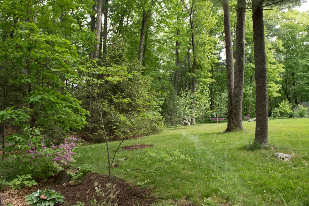 Grasshopper Lane by Natalie DeNormandie - Photo 2