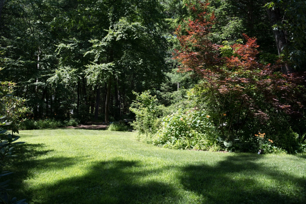 Grasshopper Lane by Natalie DeNormandie - Photo 5