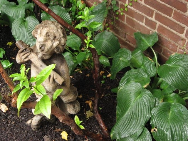 Beacon Hill Garden Level by Natalie DeNormandie - Photo 13