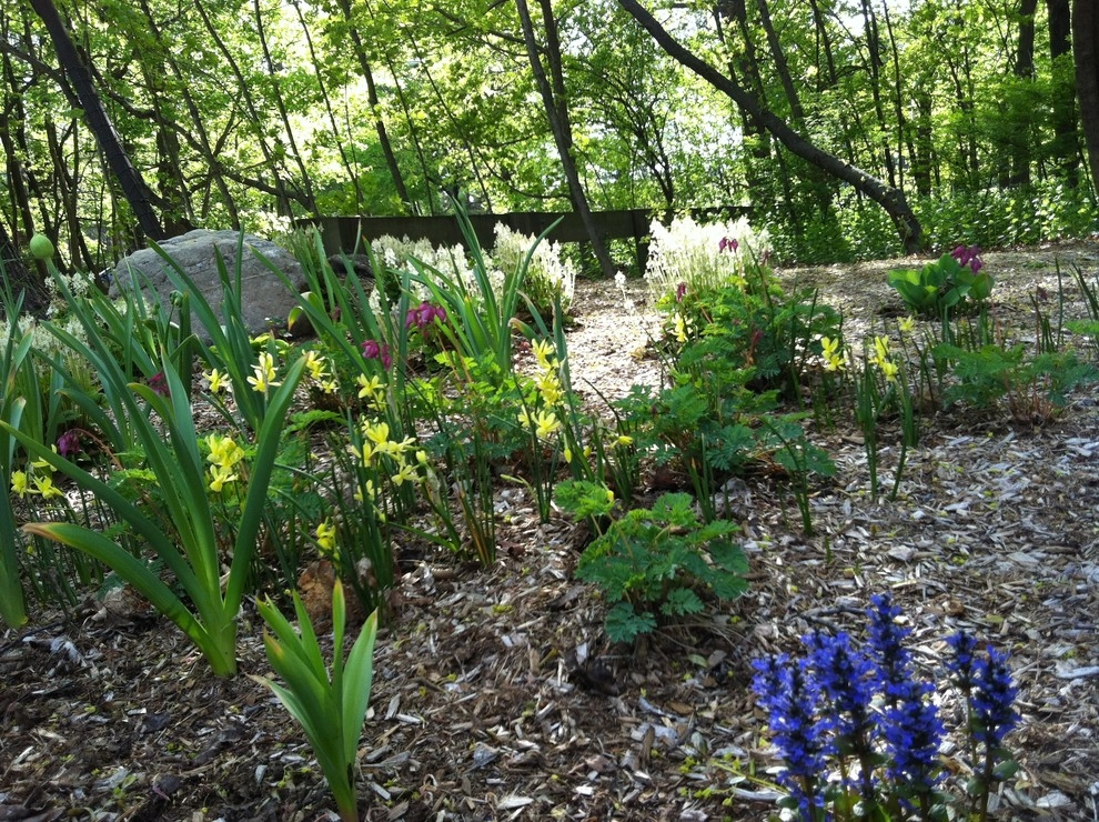 Newton Lower Falls Woodland Garden by Natalie DeNormandie - Photo 8