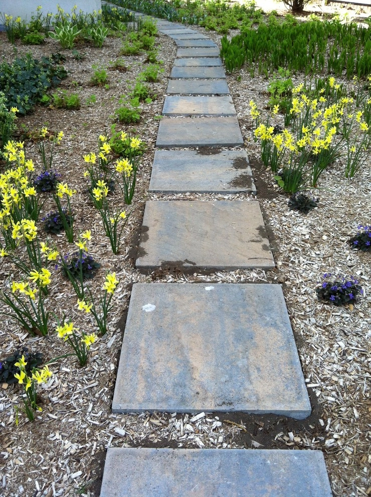 Newton Lower Falls Woodland Garden by Natalie DeNormandie - Photo 16