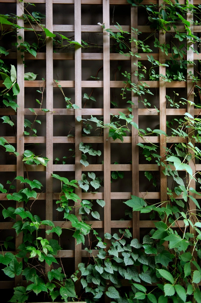 Newton Lower Falls Woodland Garden by Natalie DeNormandie - Photo 2