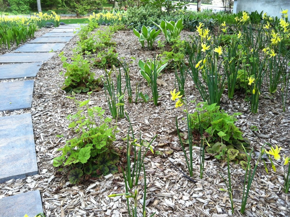 Newton Lower Falls Woodland Garden by Natalie DeNormandie - Photo 5