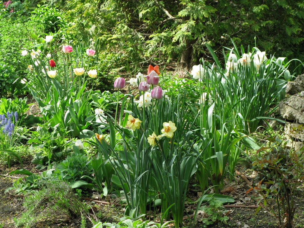 Brookline Borders by Natalie DeNormandie - Photo 2