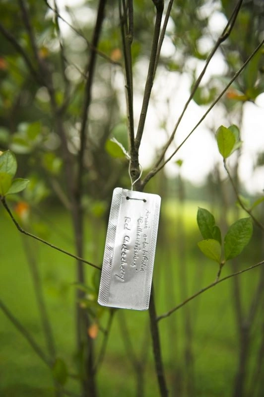 Edible Estate by Natalie DeNormandie - Photo 44