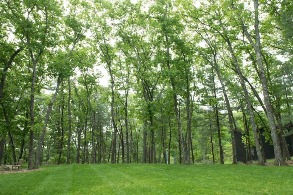 Tabor Hill by Natalie DeNormandie - Photo 2