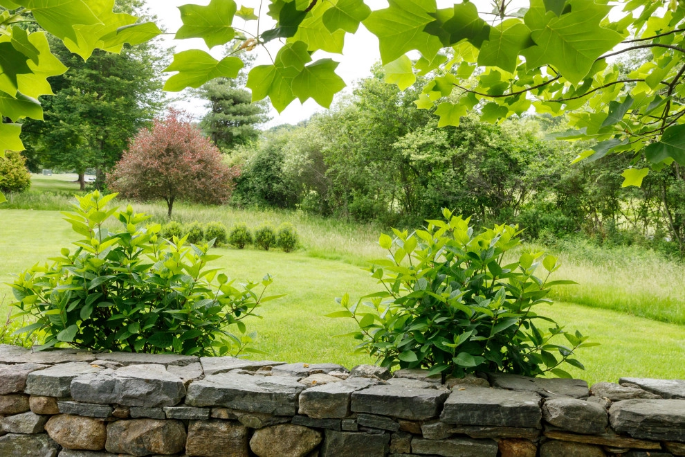 Mature Garden by Natalie DeNormandie - Photo 18