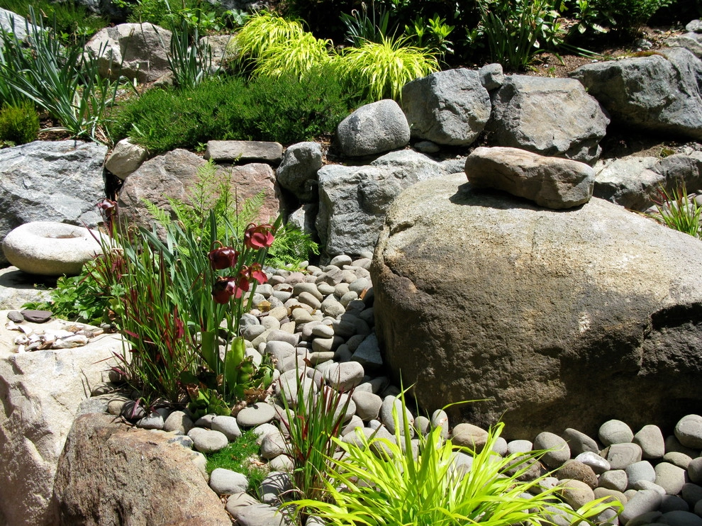 Children's Edible Garden by Natalie DeNormandie - Photo 20