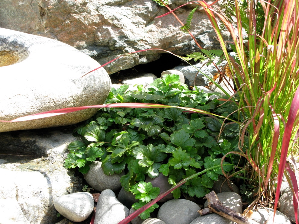 Children's Edible Garden by Natalie DeNormandie - Photo 12