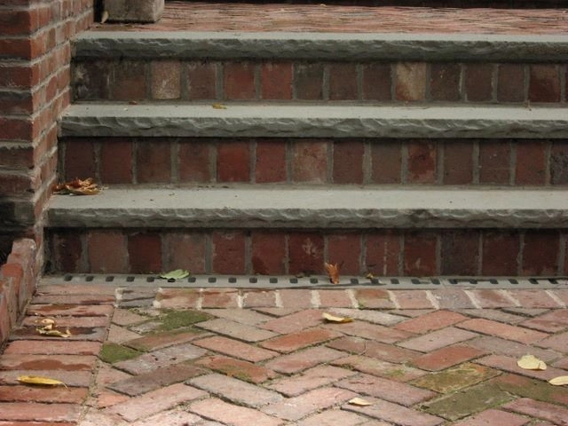 Beacon Hill Garden Level by Natalie DeNormandie - Photo 7