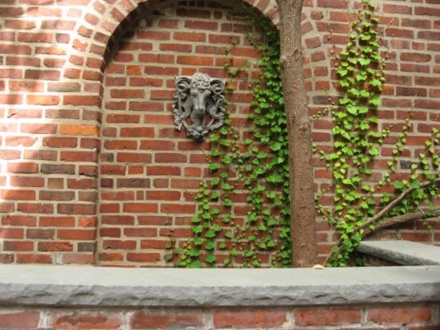 Beacon Hill Garden Level by Natalie DeNormandie - Photo 6