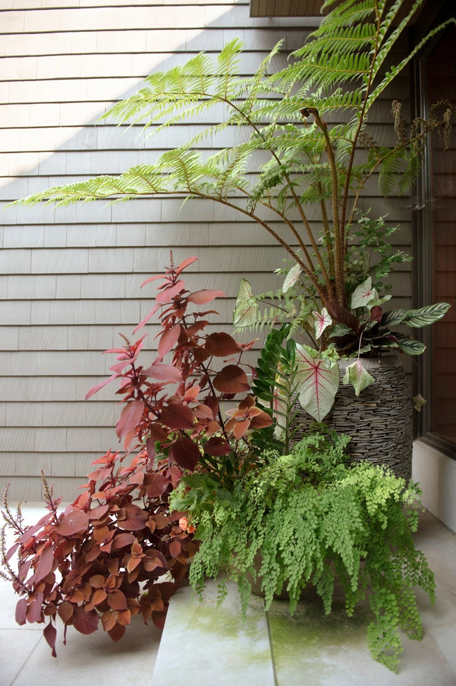 Newton Lower Falls Woodland Garden by Natalie DeNormandie - Photo 7