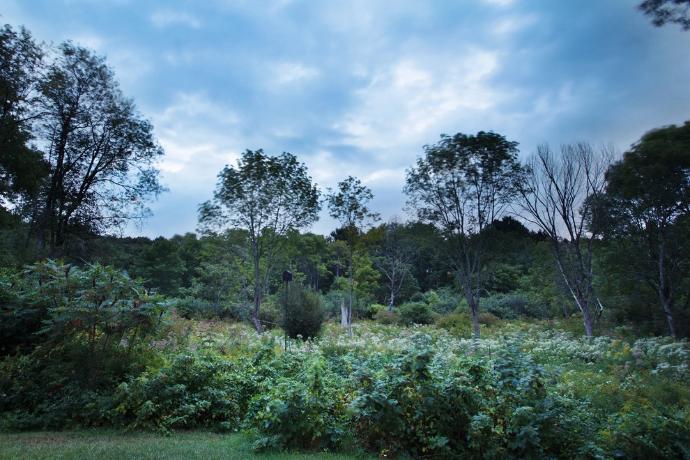 Food Foraging Meadow by Natalie DeNormandie - Photo 13