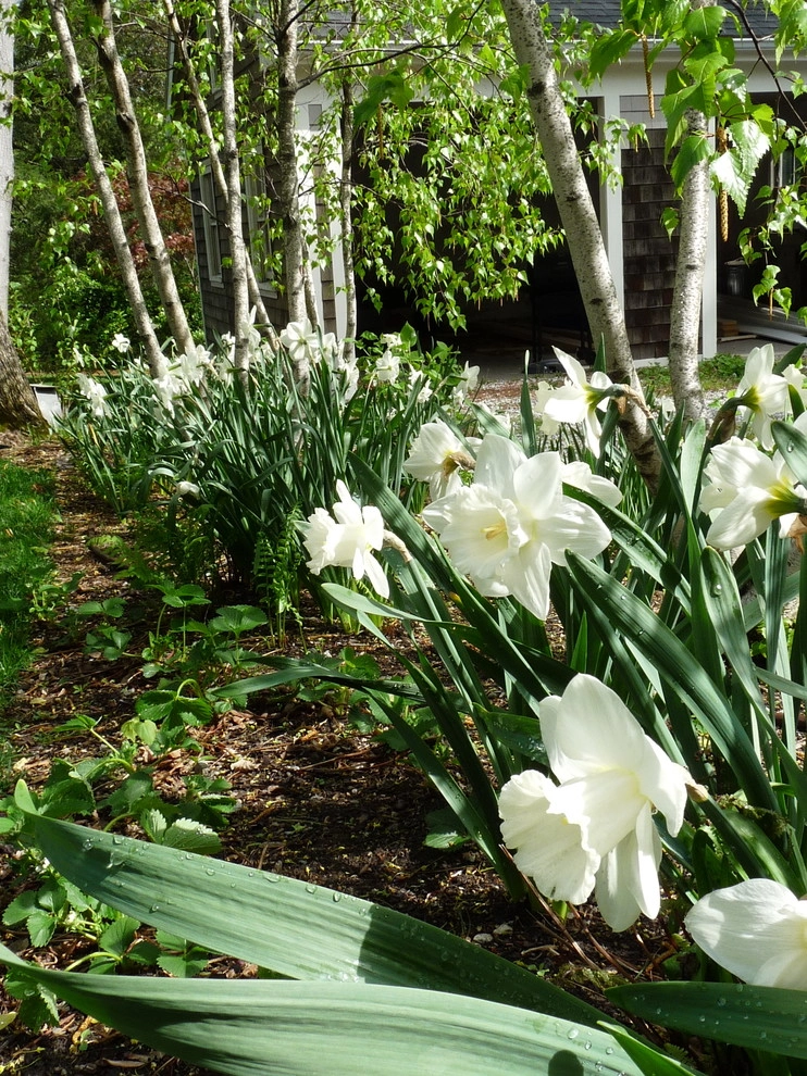 Brookline Borders by Natalie DeNormandie - Photo 8