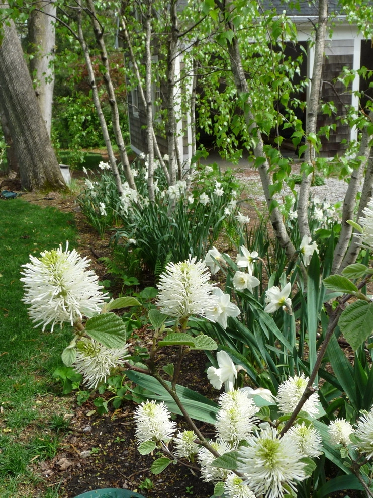 Brookline Borders by Natalie DeNormandie - Photo 7