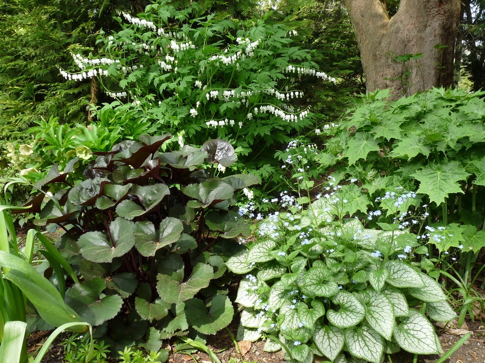 Brookline Borders by Natalie DeNormandie - Photo 3