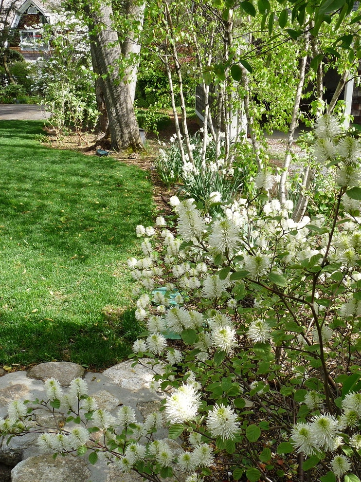 Brookline Borders by Natalie DeNormandie - Photo 6