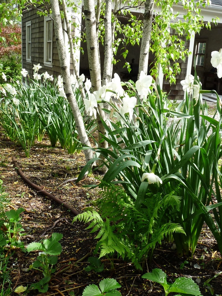 Brookline Borders by Natalie DeNormandie - Photo 5