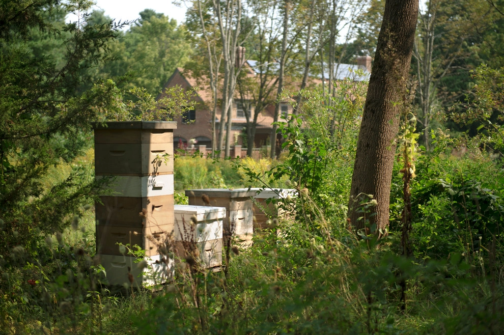 Edible Estate by Natalie DeNormandie - Photo 21