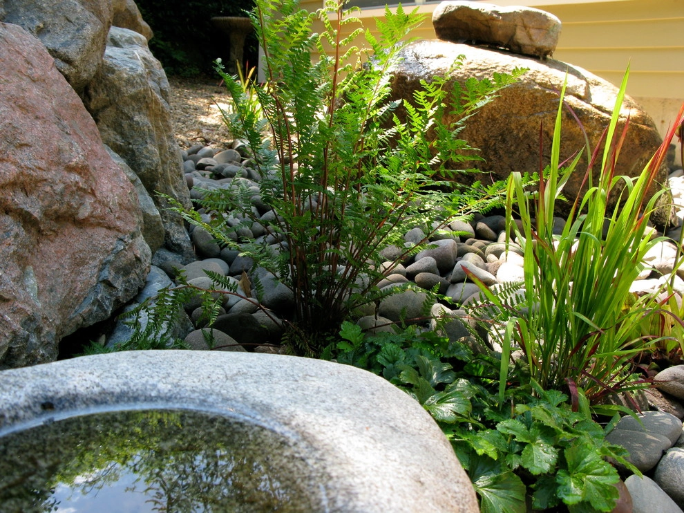 Children's Edible Garden by Natalie DeNormandie - Photo 25