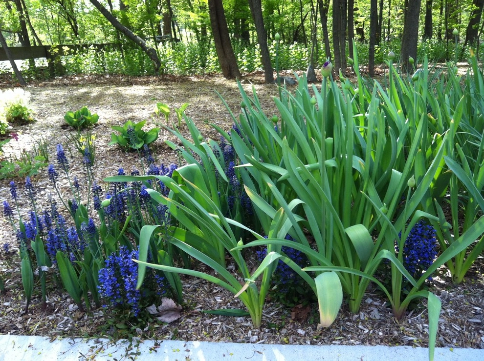 Newton Lower Falls Woodland Garden by Natalie DeNormandie - Photo 21