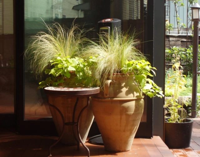Oleana Restaurant Outdoor Patio by Natalie DeNormandie - Photo 12